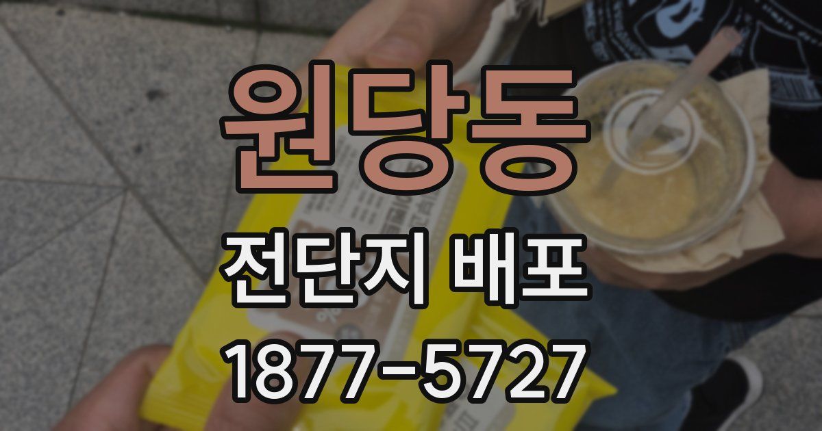 원당동 전단지 배포