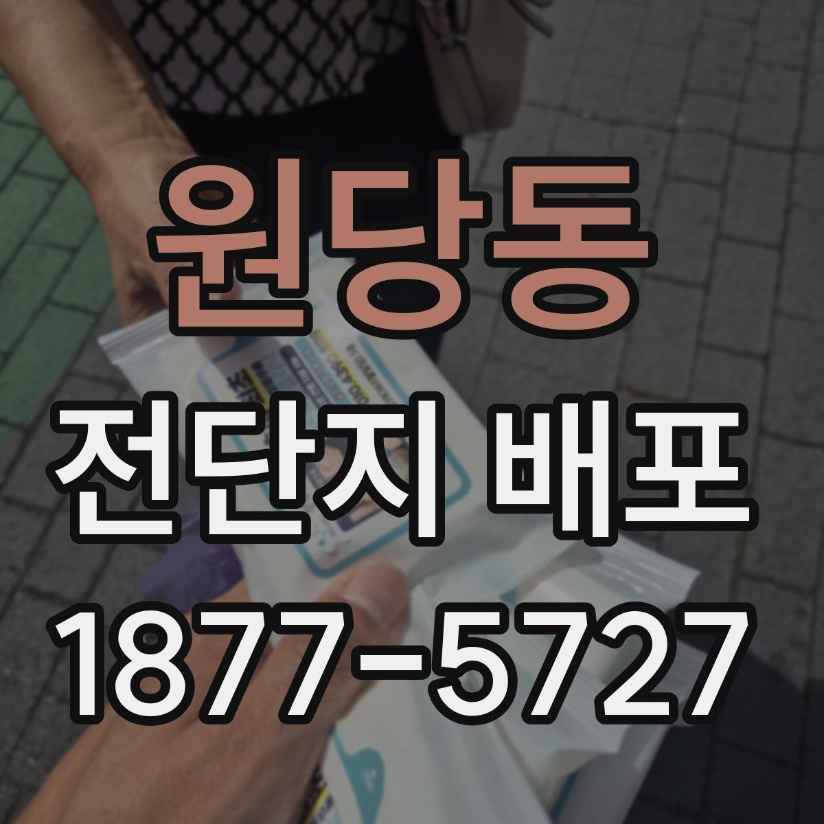 원당동 전단지 배포