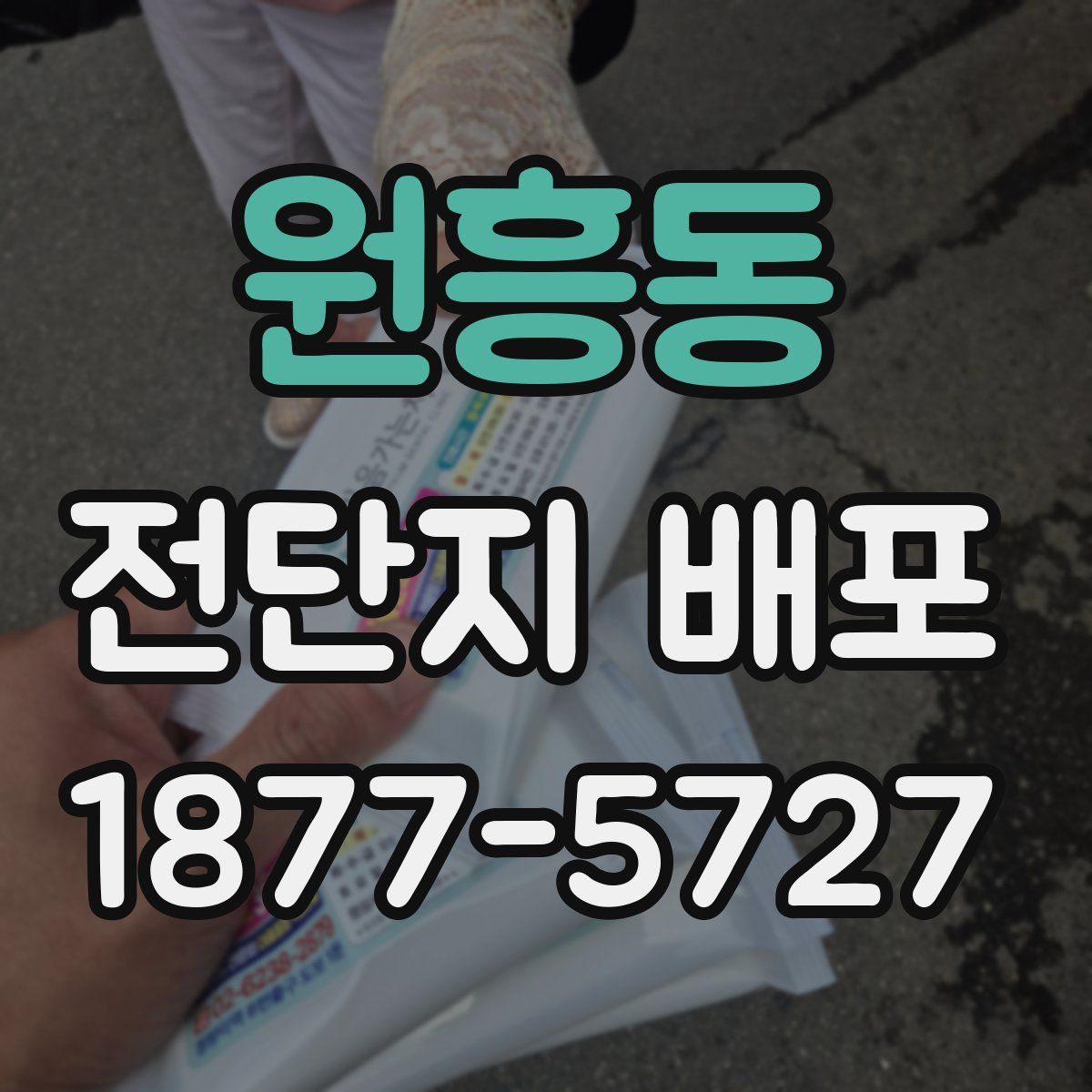 원흥동 전단지 배포
