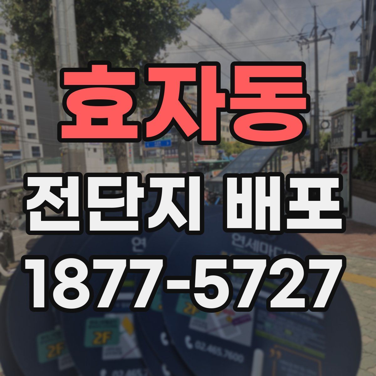 효자동 전단지 배포