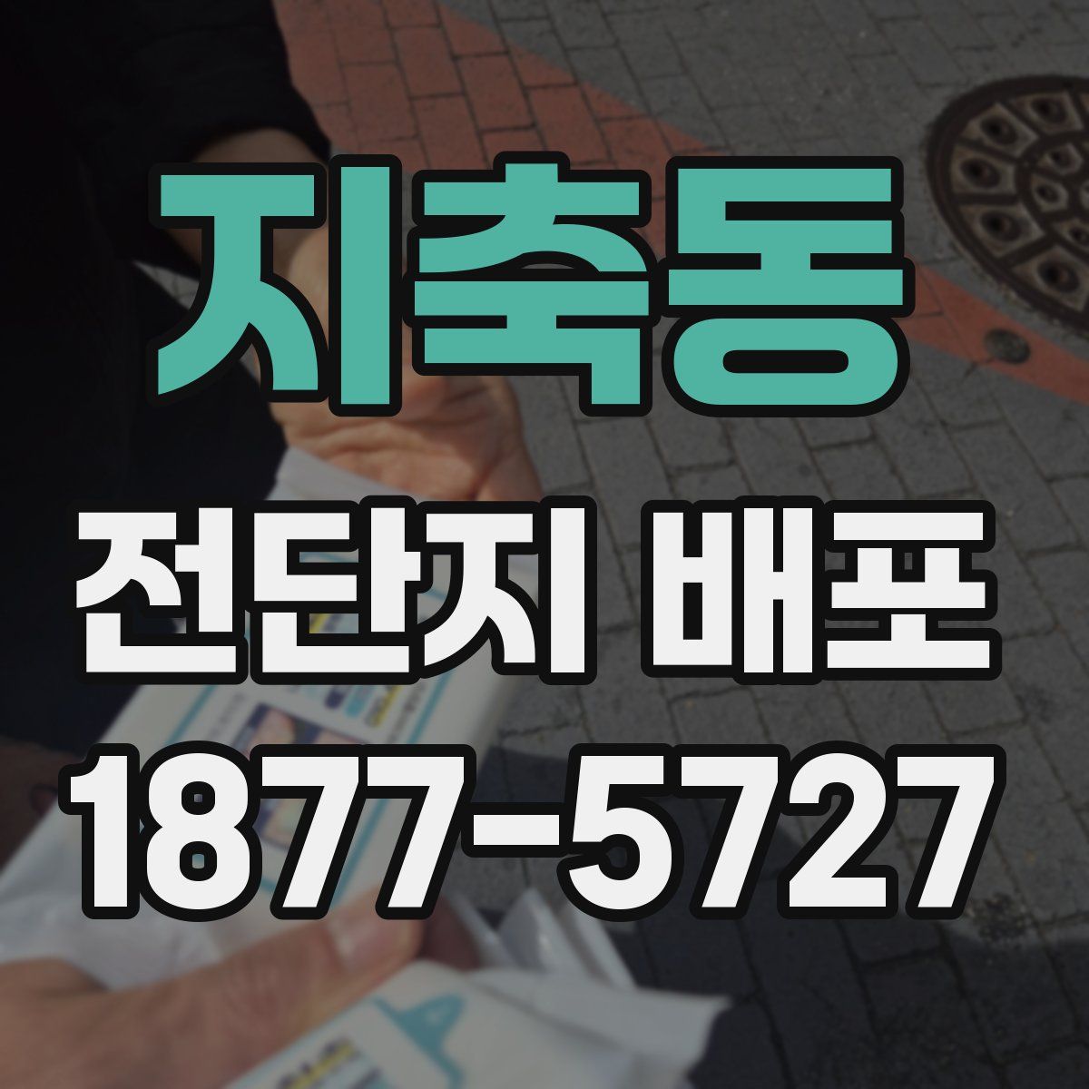 지축동 전단지 배포