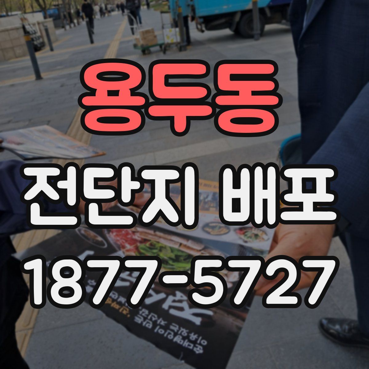 용두동 전단지 배포