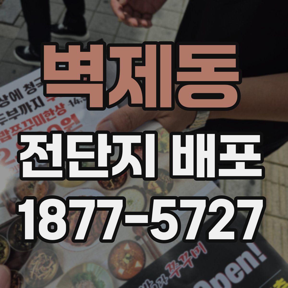 벽제동 전단지 배포
