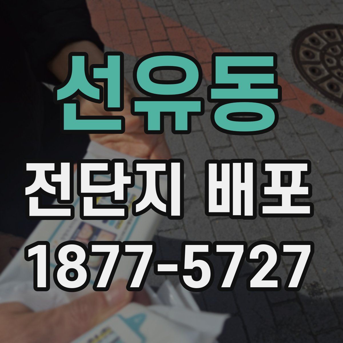 선유동 전단지 배포