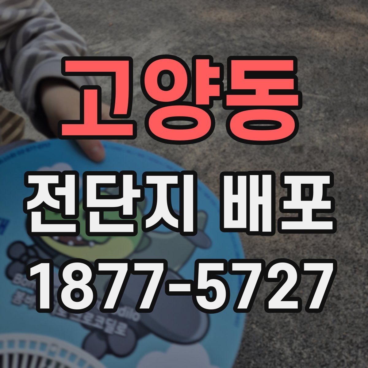 고양동 전단지 배포