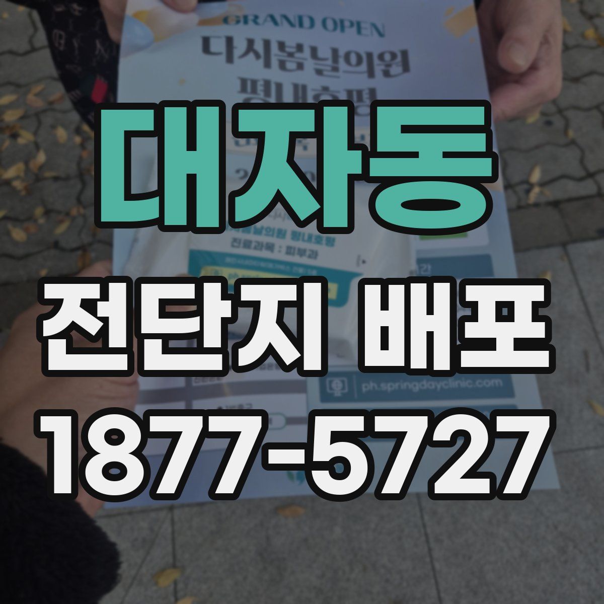 대자동 전단지 배포