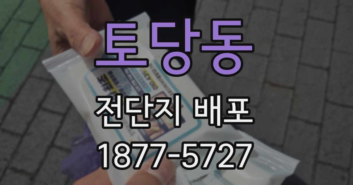 토당동 전단지 배포