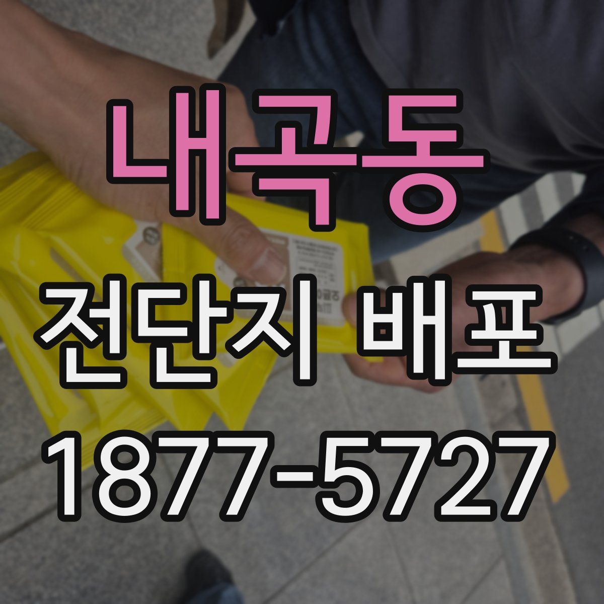 내곡동 전단지 배포