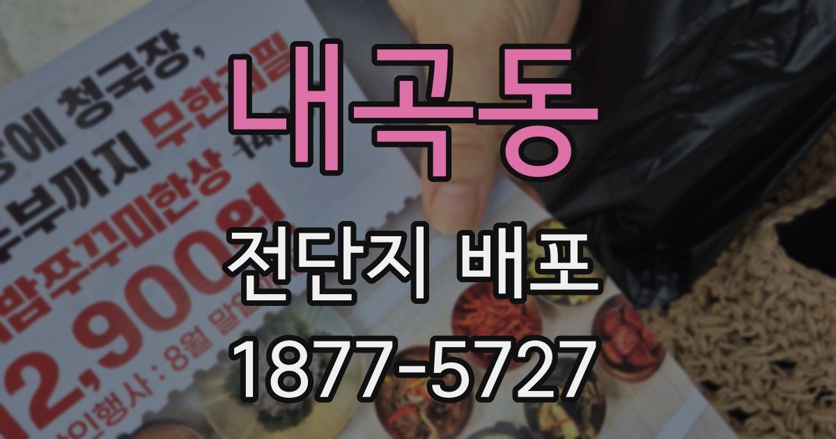 내곡동 전단지 배포