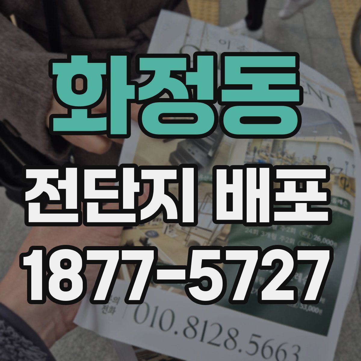 화정동 전단지 배포