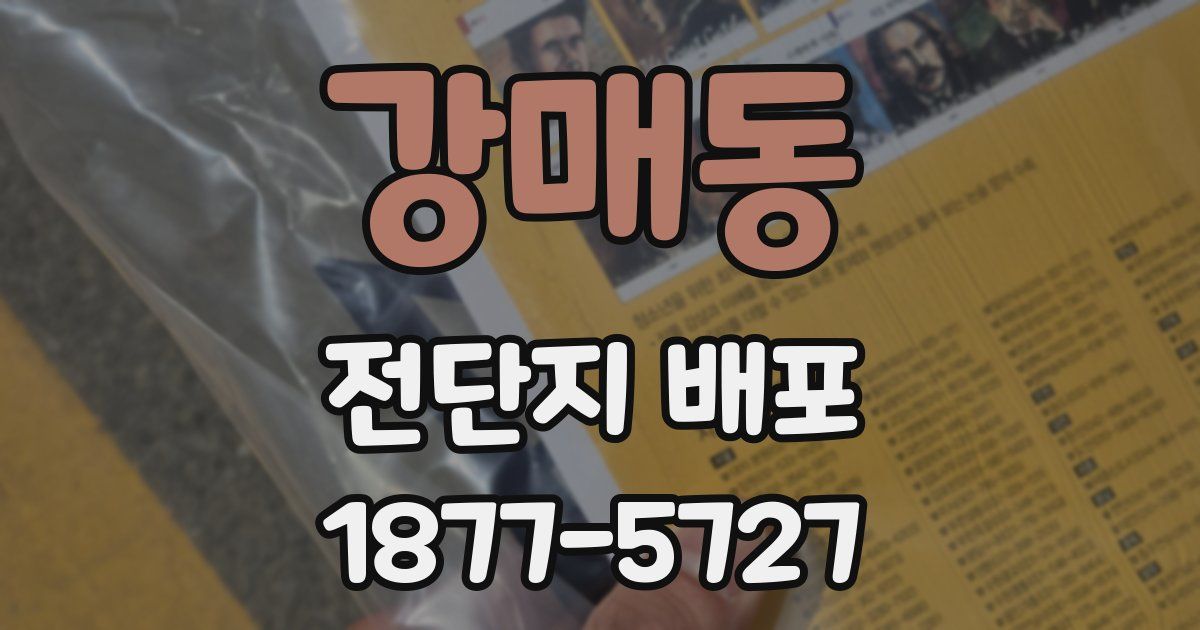 강매동 전단지 배포