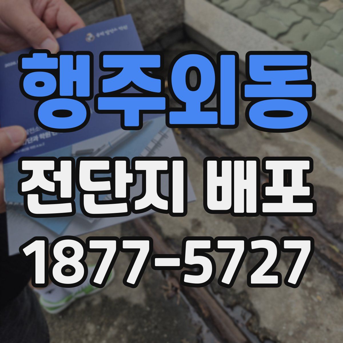 행주외동 전단지 배포