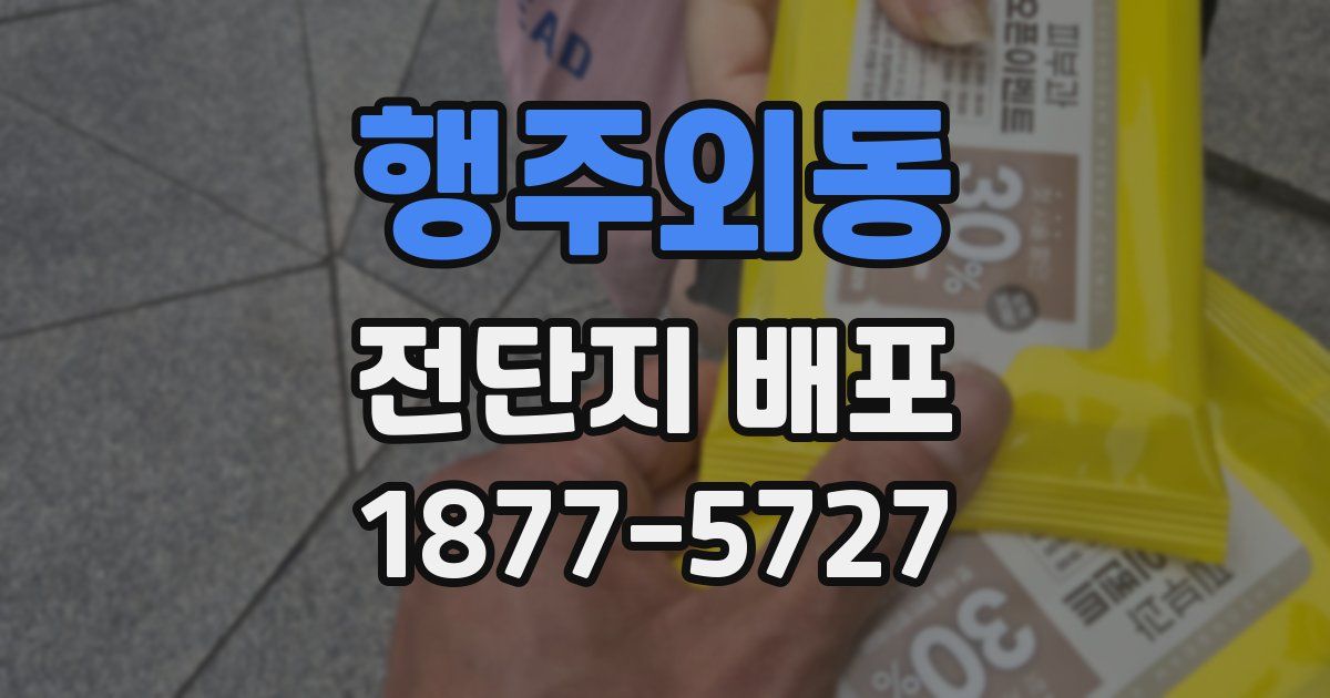 행주외동 전단지 배포
