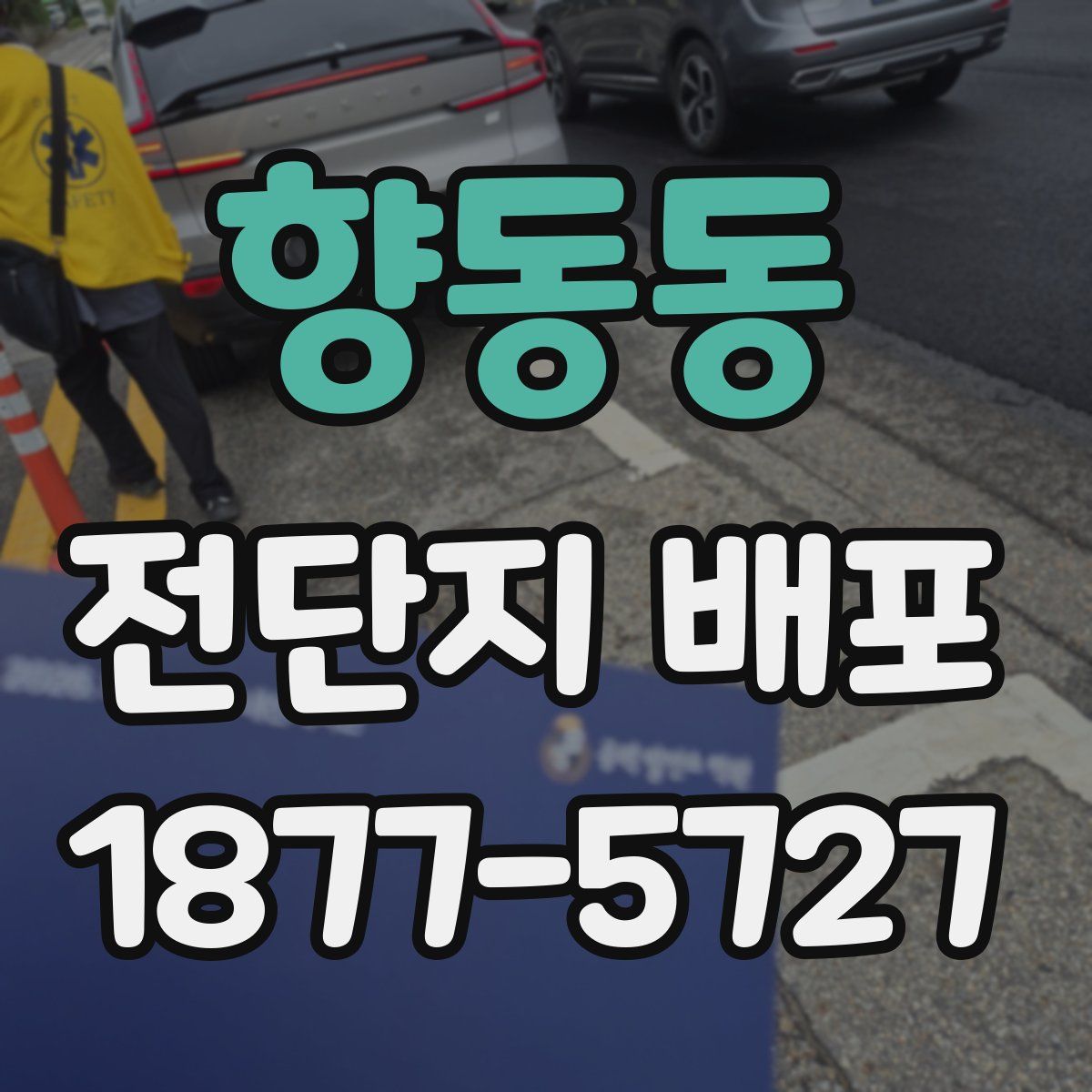 향동동 전단지 배포