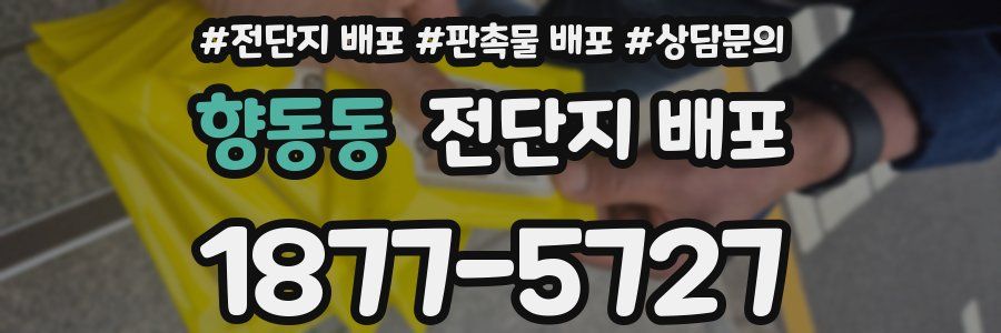향동동 전단지 배포