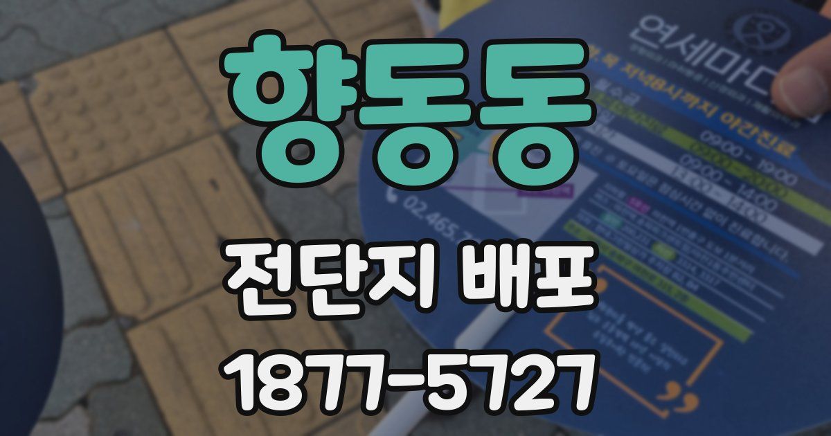 향동동 전단지 배포