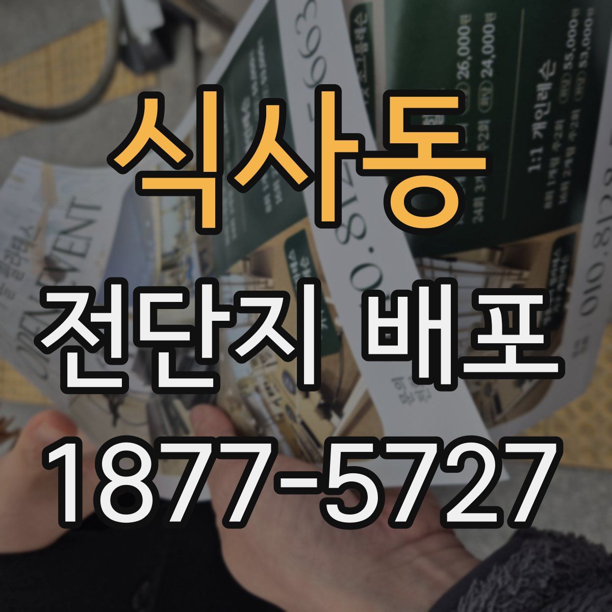 식사동 전단지 배포