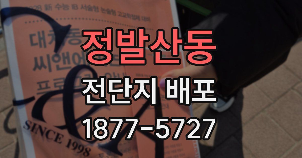 정발산동 전단지 배포