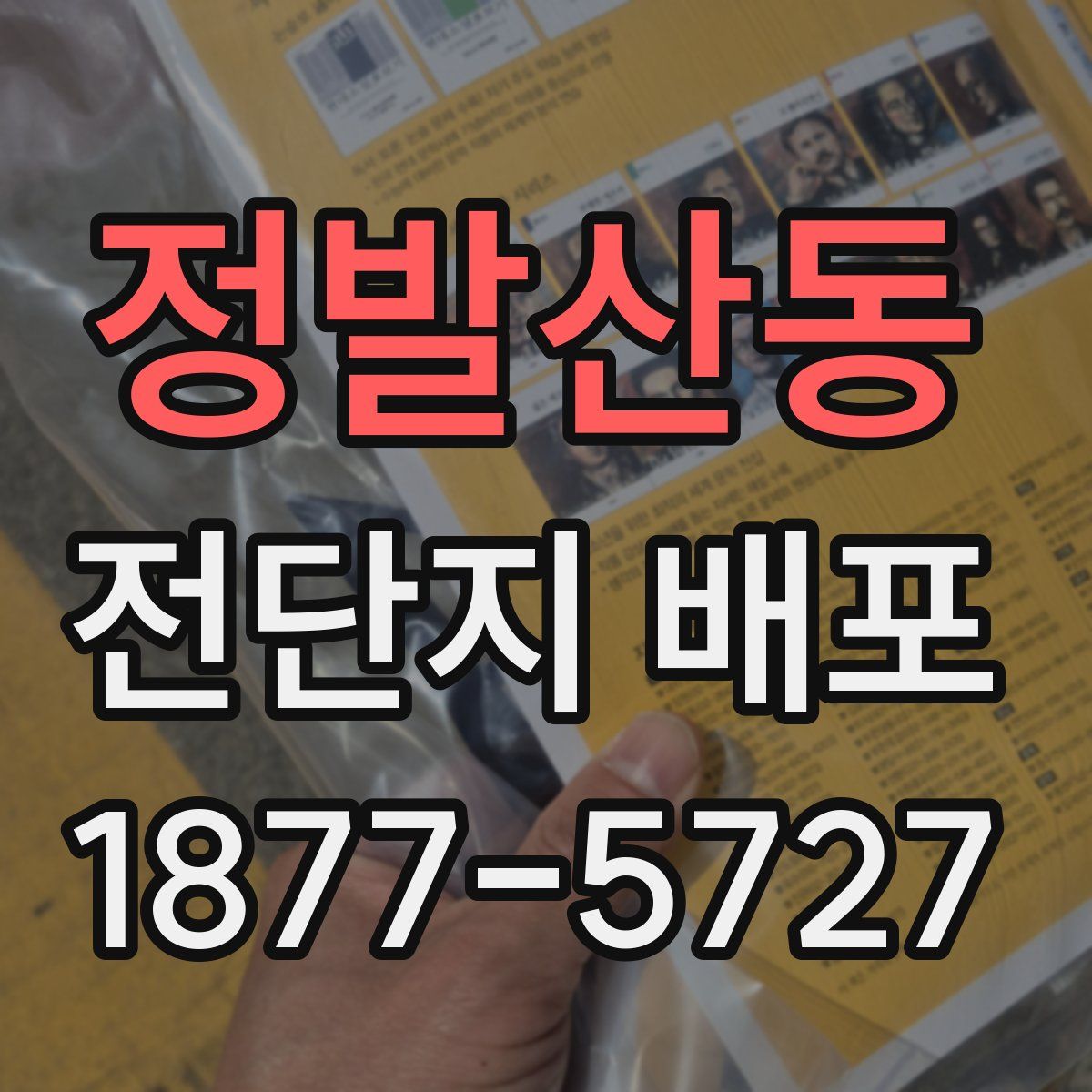 정발산동 전단지 배포