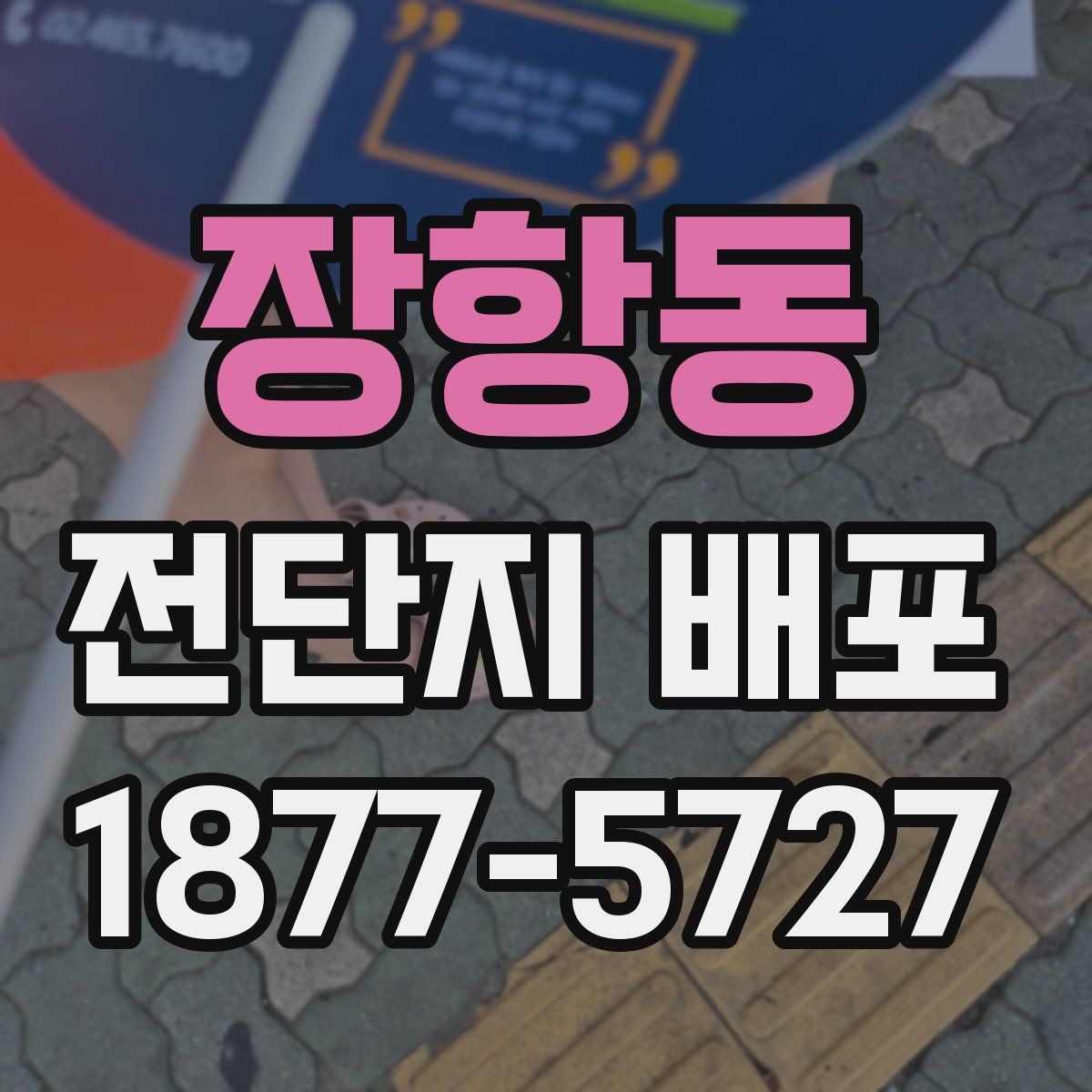 장항동 전단지 배포