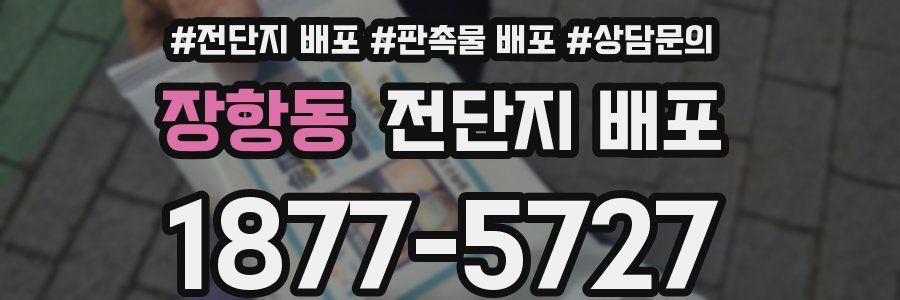 장항동 전단지 배포