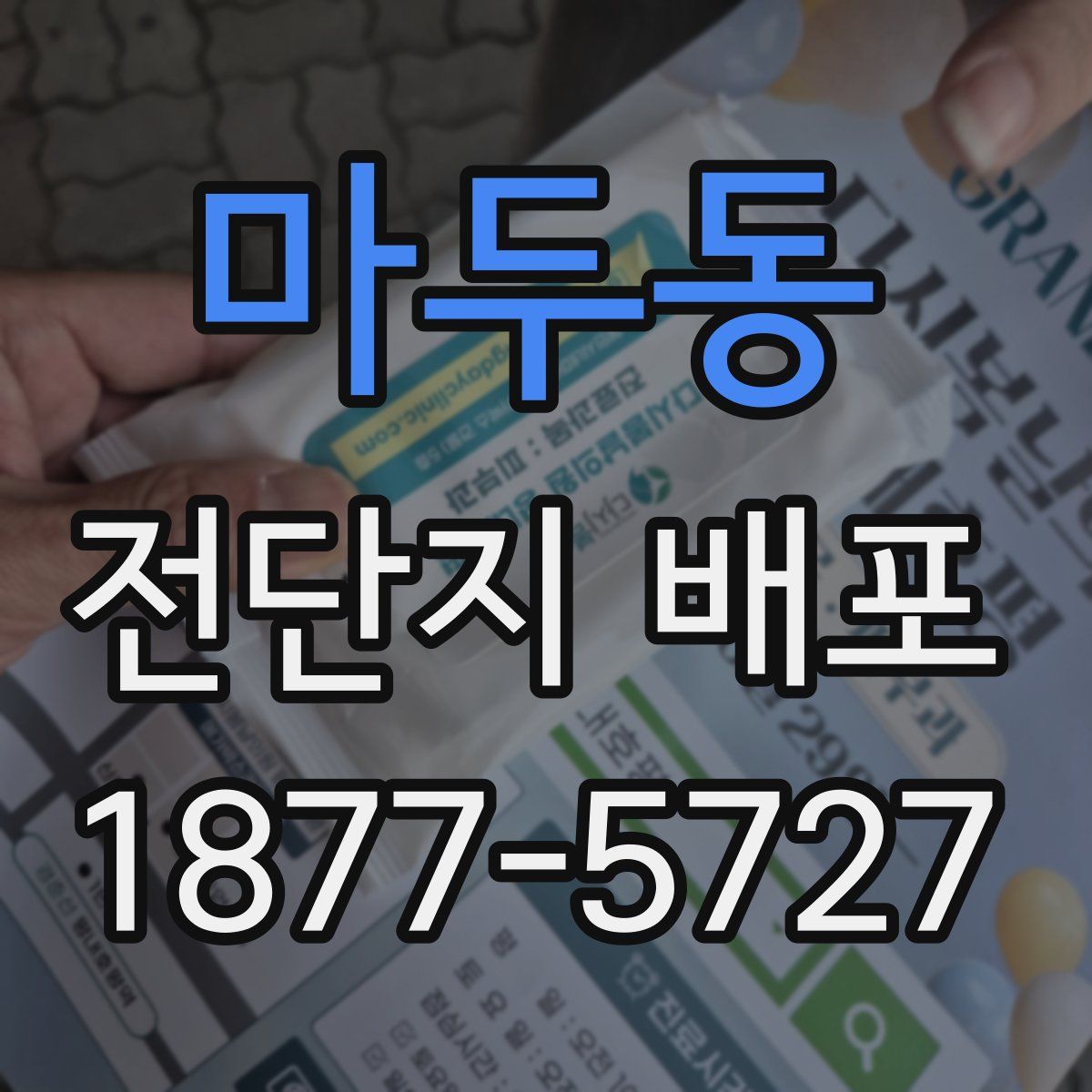 마두동 전단지 배포