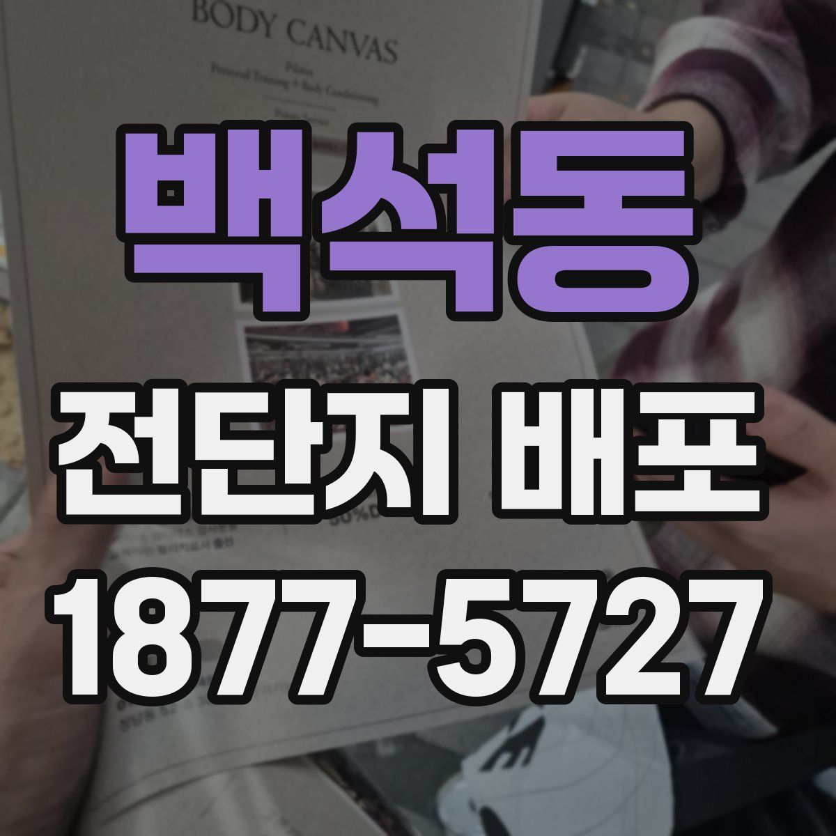 백석동 전단지 배포