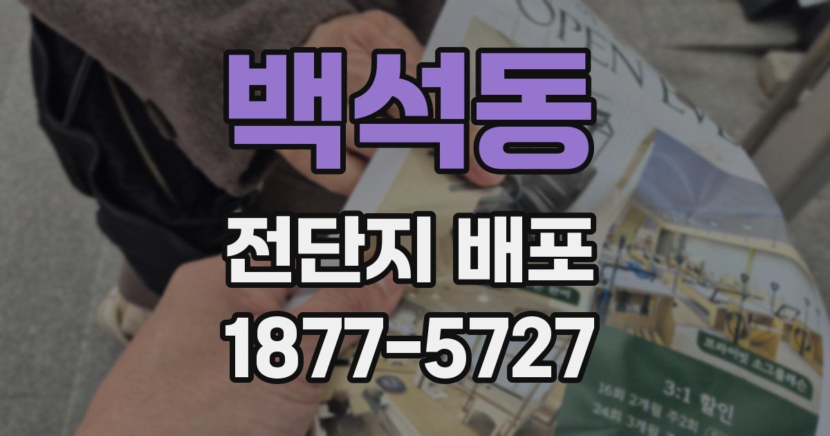 백석동 전단지 배포