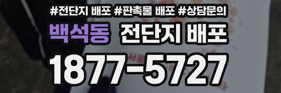 백석동 전단지 배포