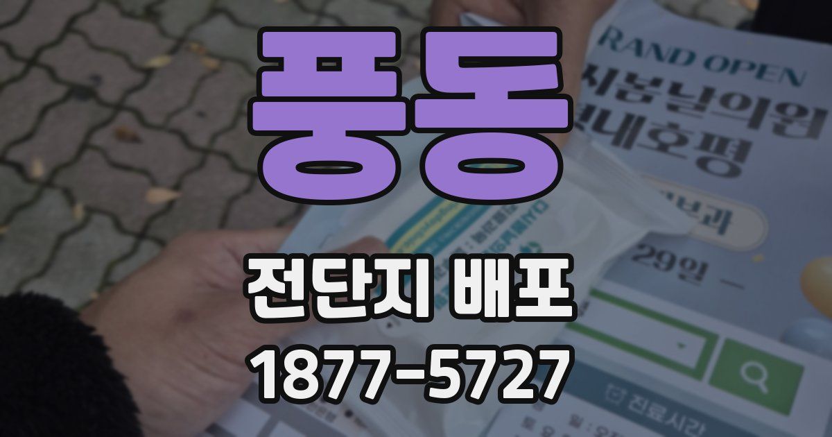 풍동 전단지 배포