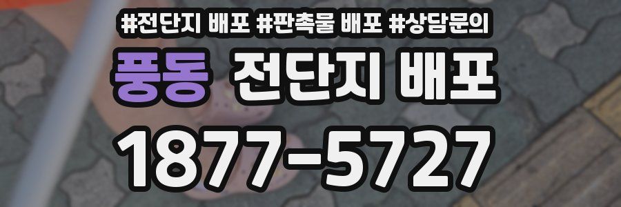 풍동 전단지 배포