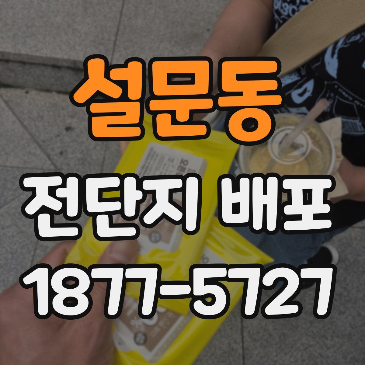설문동 전단지 배포
