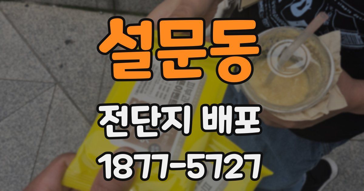 설문동 전단지 배포