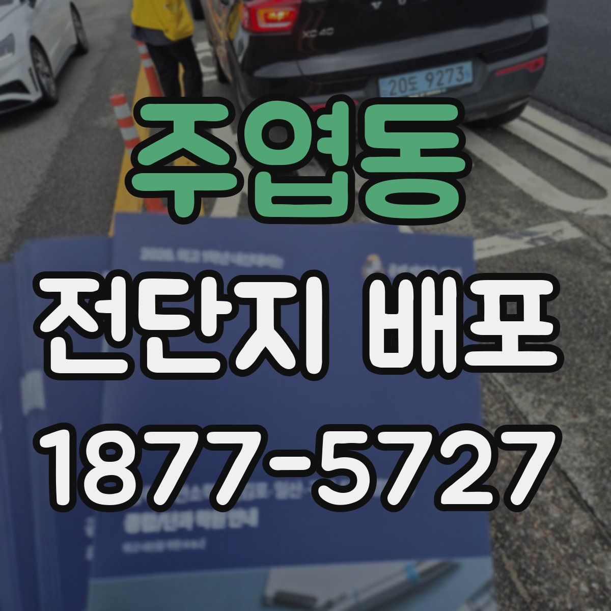 주엽동 전단지 배포