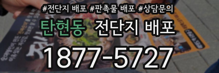 탄현동 전단지 배포