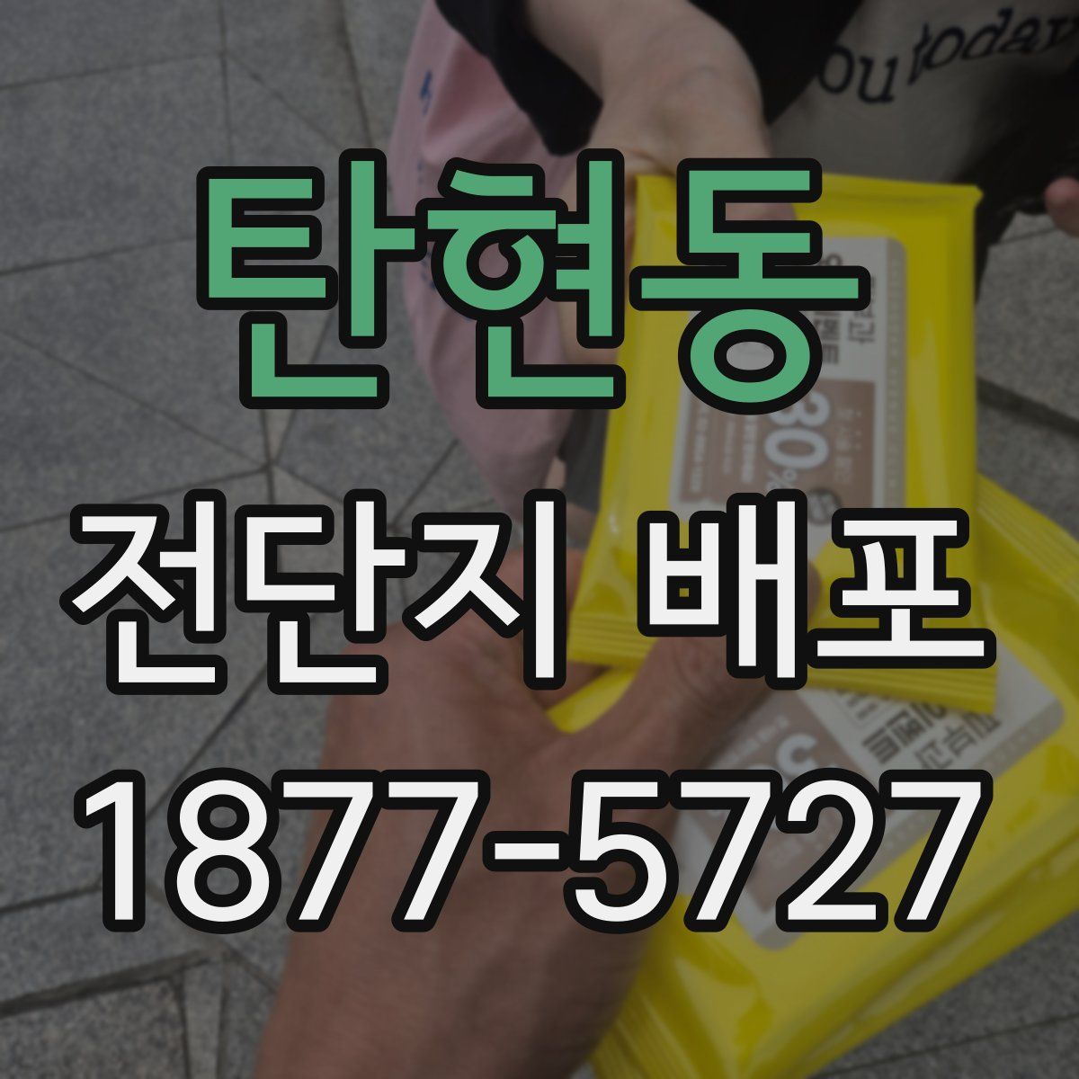 탄현동 전단지 배포