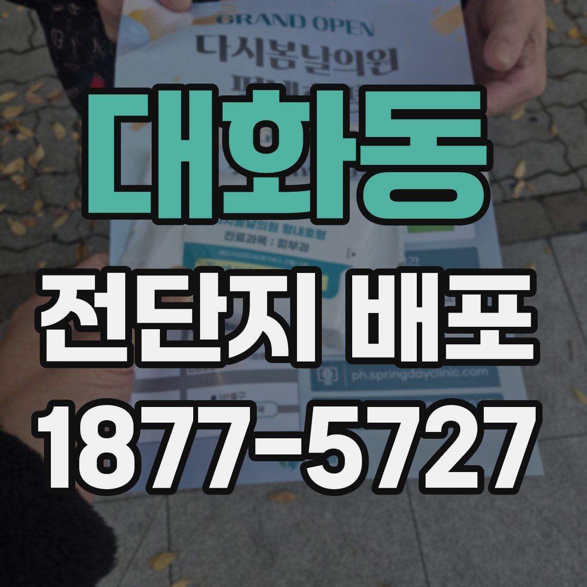 대화동 전단지 배포