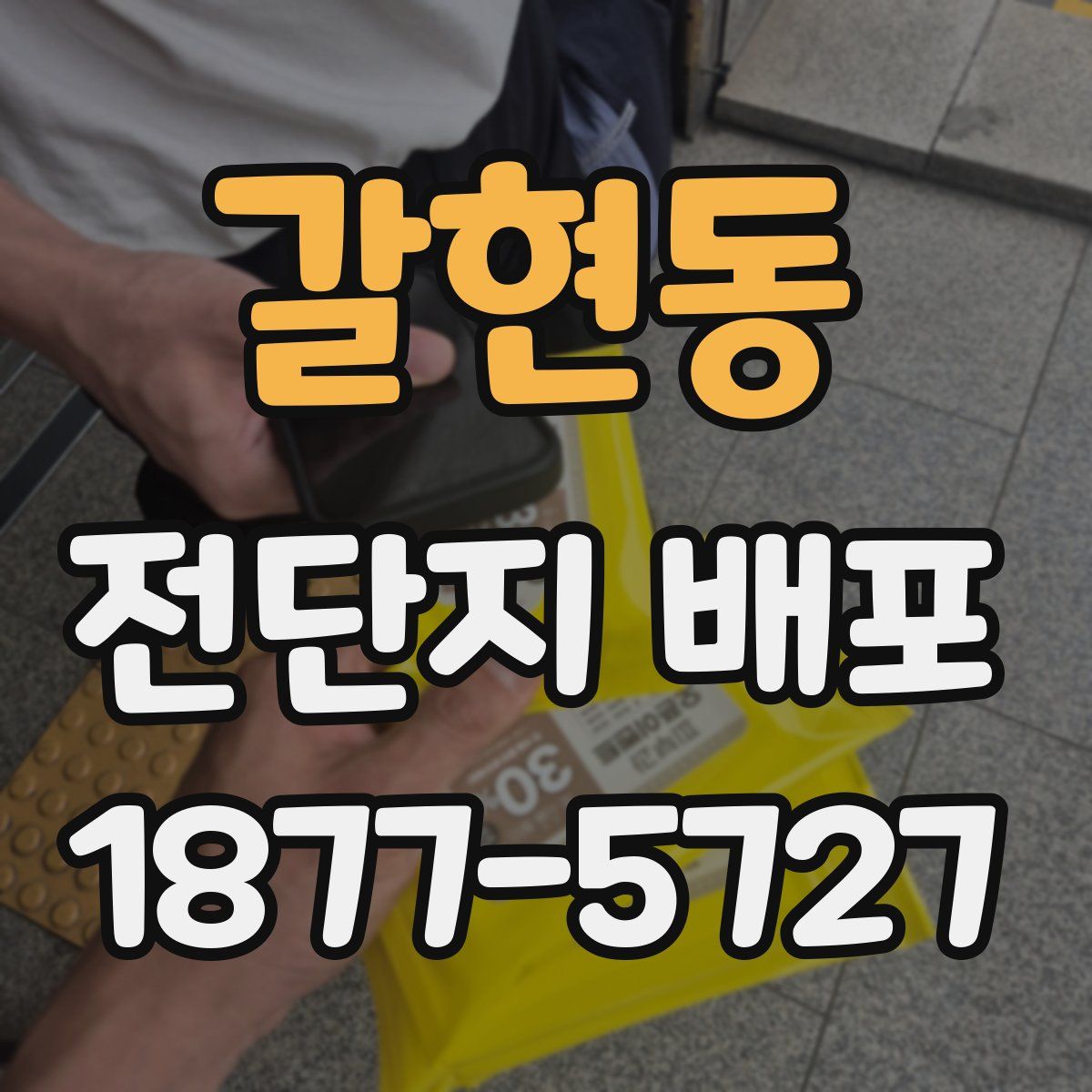 갈현동 전단지 배포