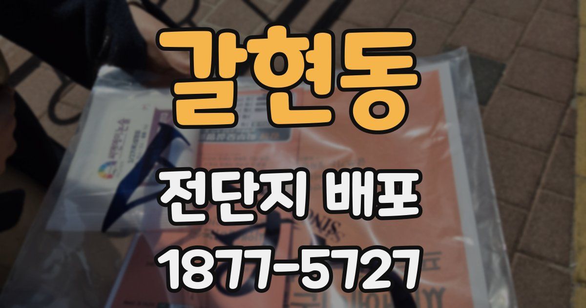 갈현동 전단지 배포