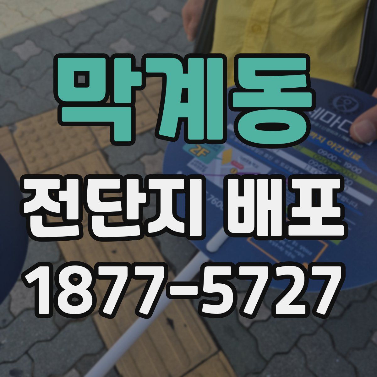 막계동 전단지 배포