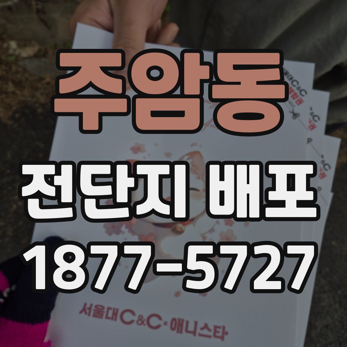 주암동 전단지 배포