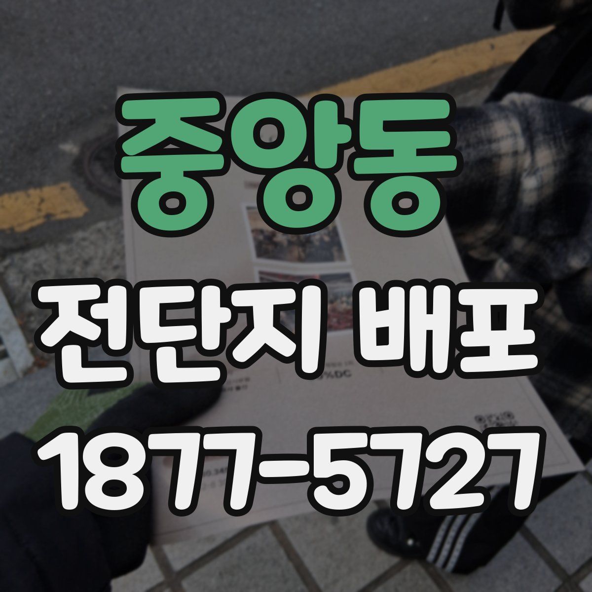 중앙동 전단지 배포