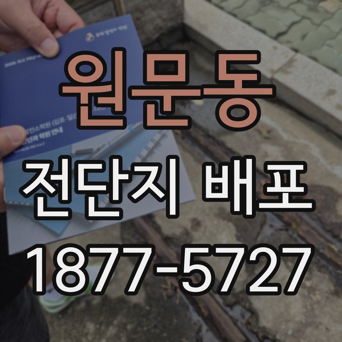 원문동 전단지 배포