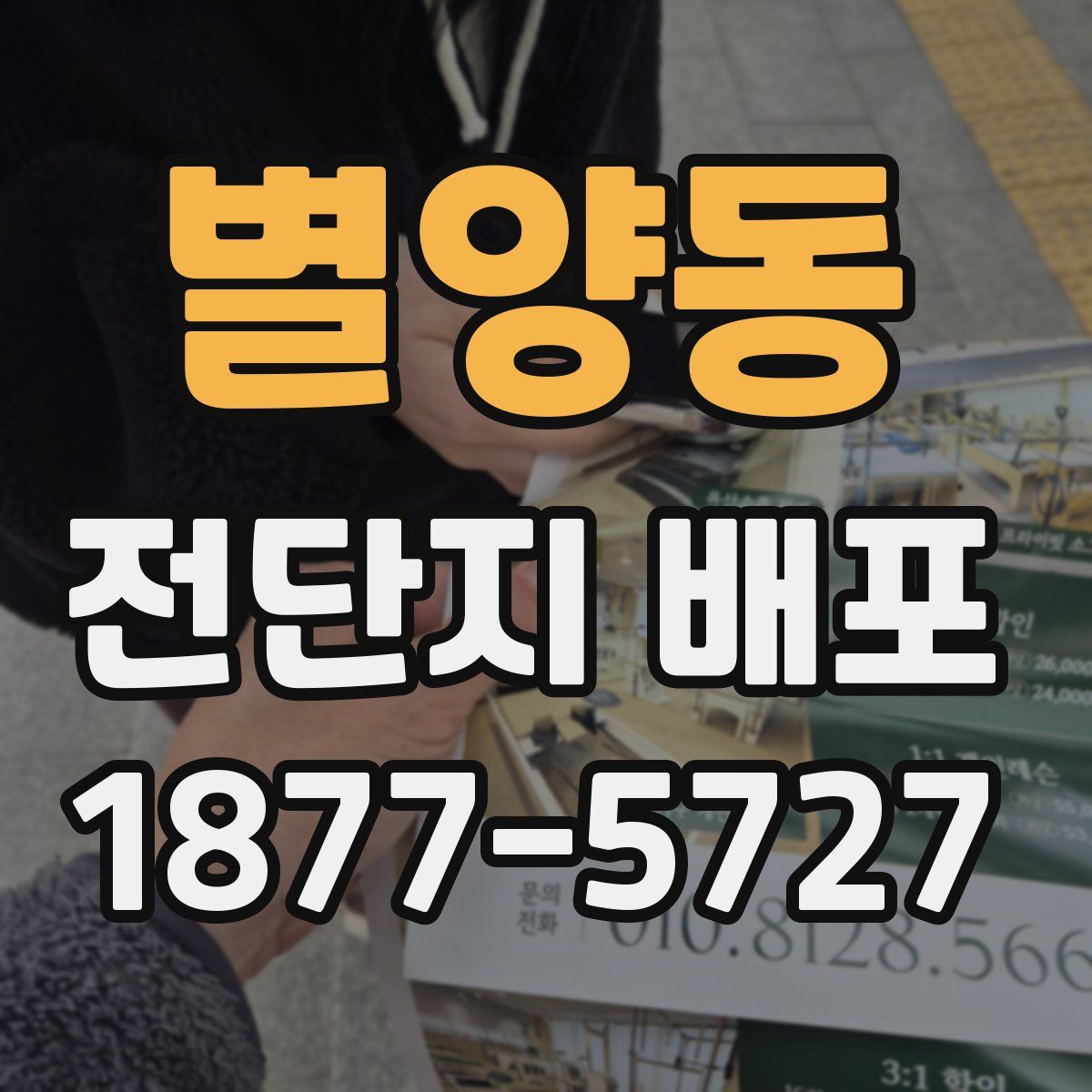 별양동 전단지 배포