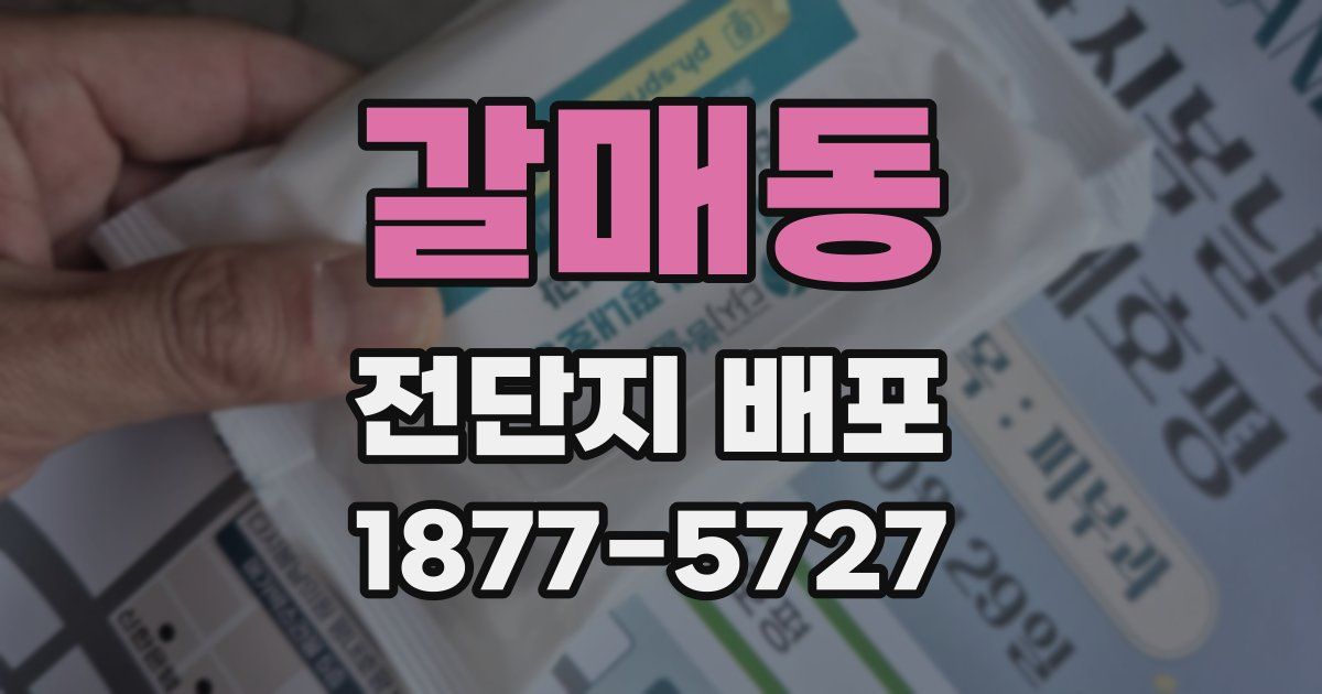 갈매동 전단지 배포