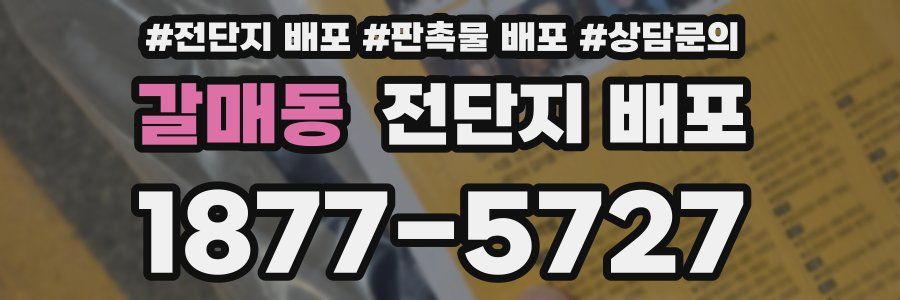 갈매동 전단지 배포