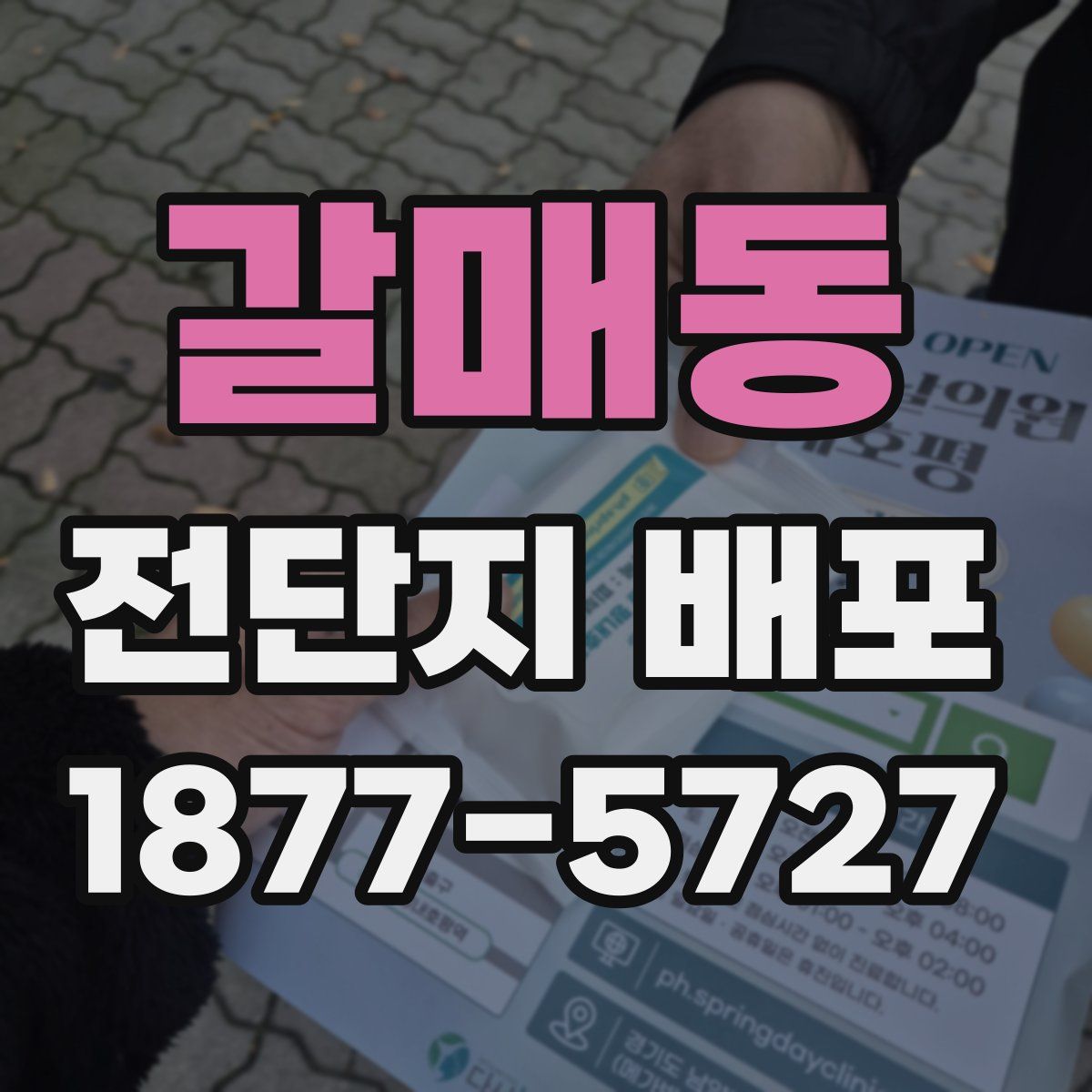 갈매동 전단지 배포