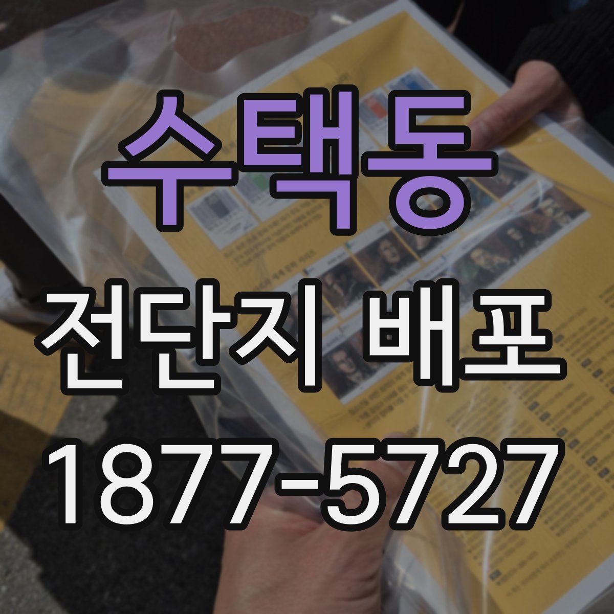 수택동 전단지 배포