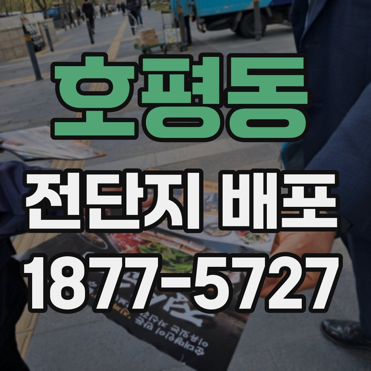 호평동 전단지 배포