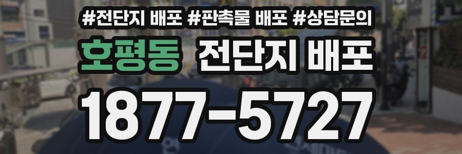호평동 전단지 배포